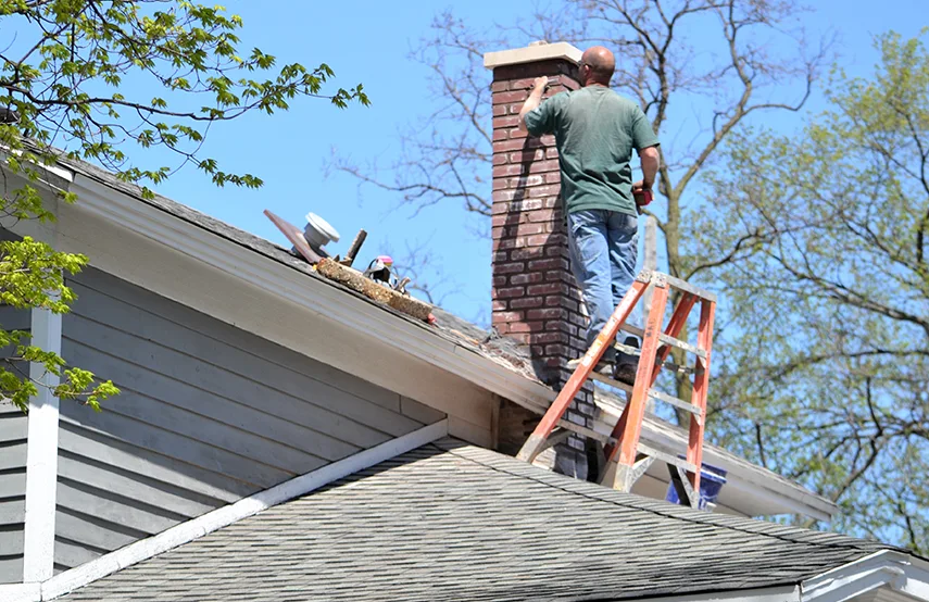 Chimney & Fireplace Inspections Services in South Holland, IL